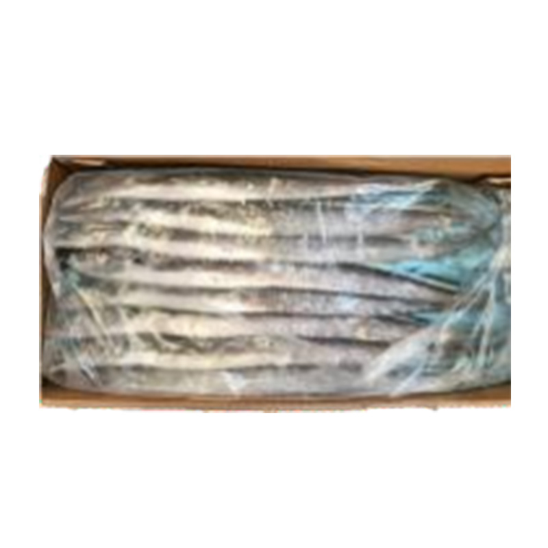PESCE COLTELLO INT. CONG.400/500带鱼10KG